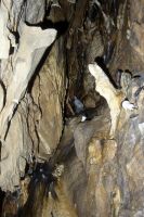 pictures/1993/1993 studiereis frankrijk belgie luxemburg 2